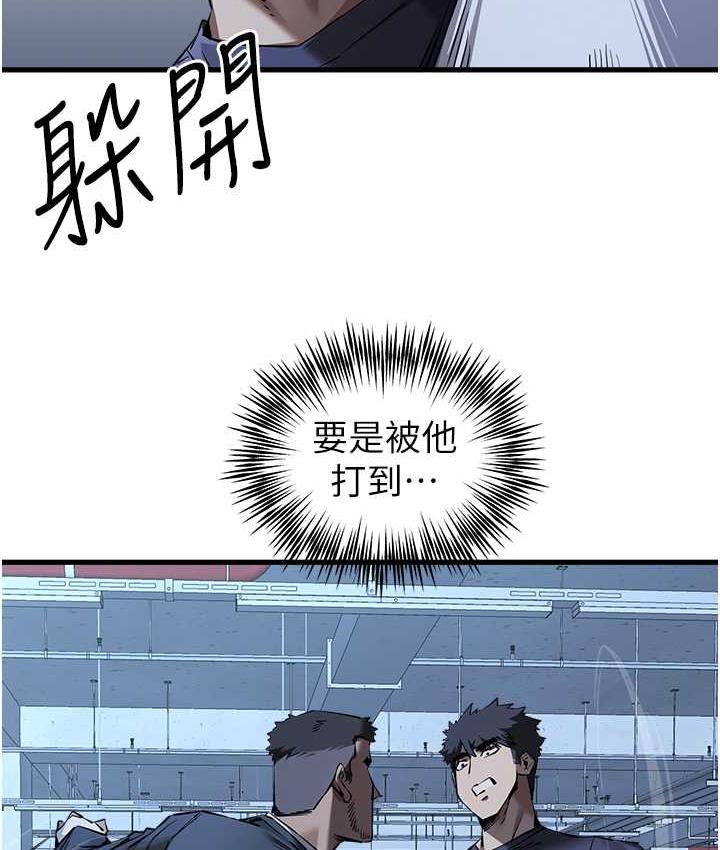 81.jpg
