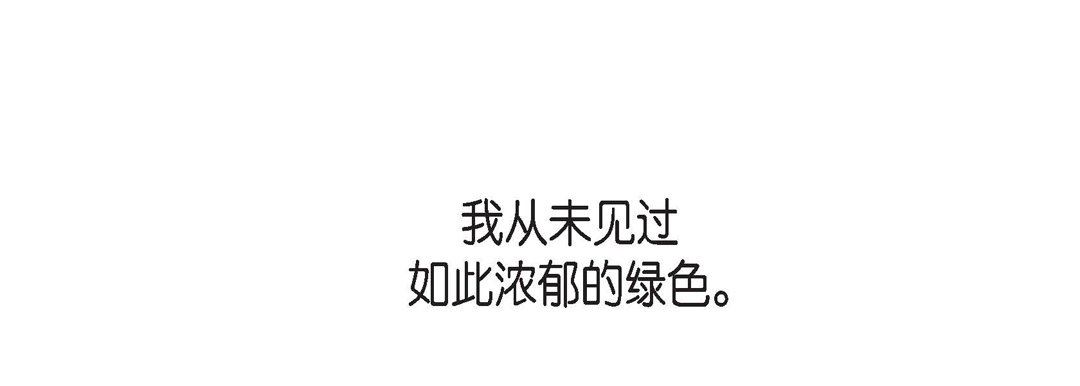 78.jpg