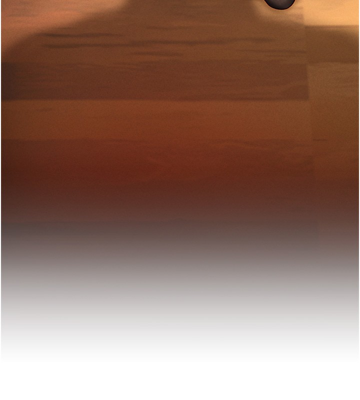 175.jpg