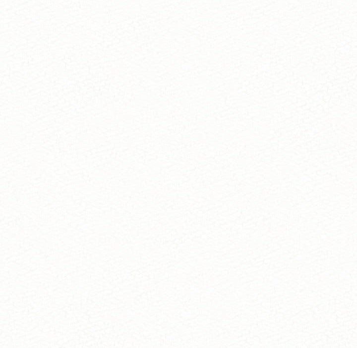 238.jpg