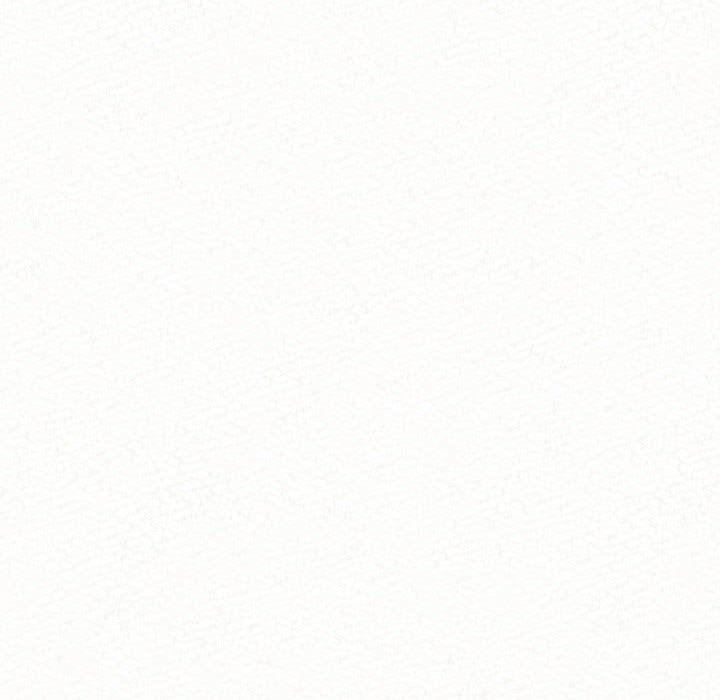 225.jpg
