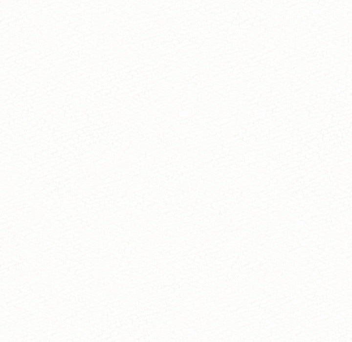 235.jpg