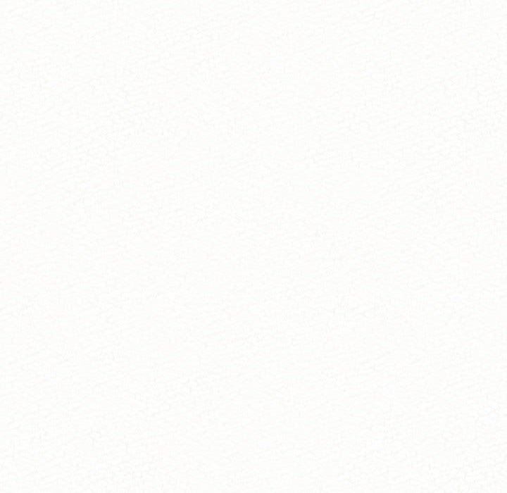 207.jpg