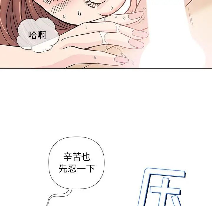96.jpg