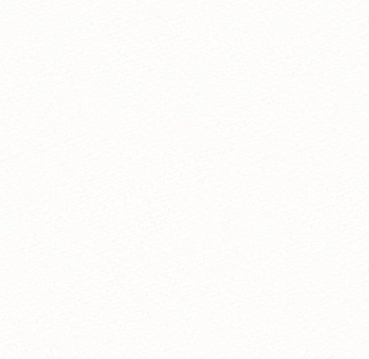 124.jpg