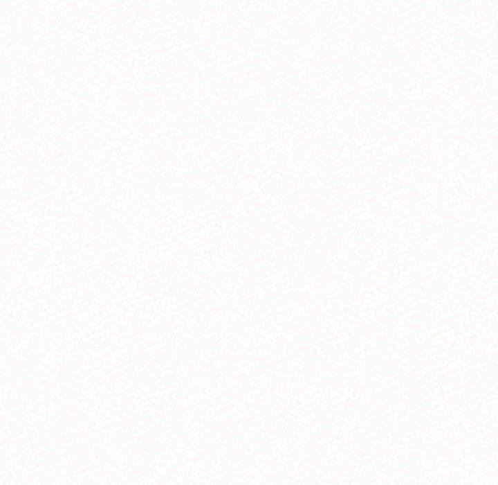 169.jpg