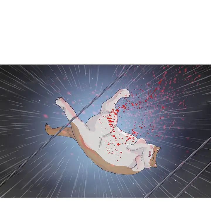 88.jpg