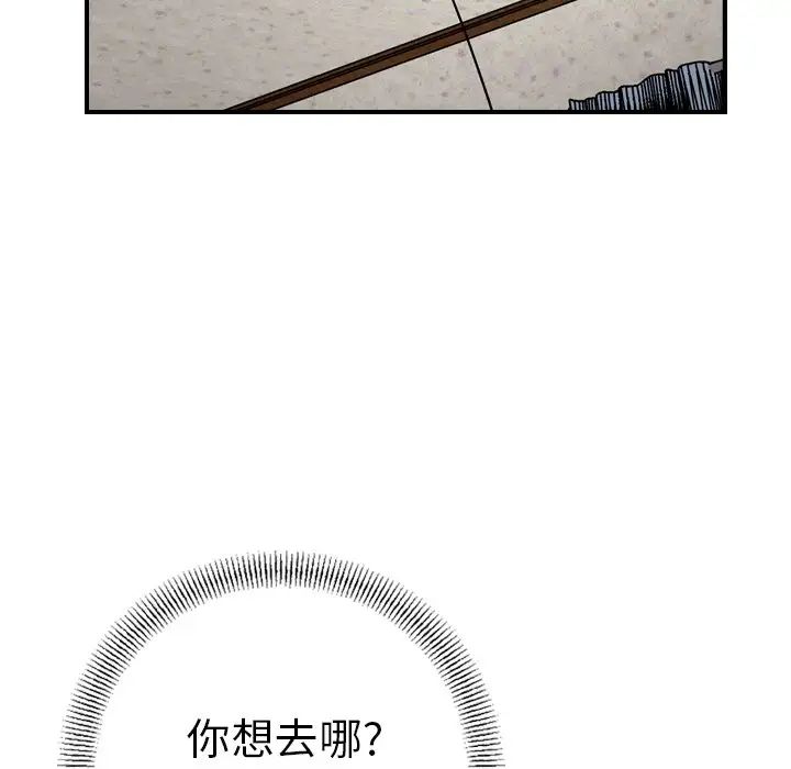 102.jpg