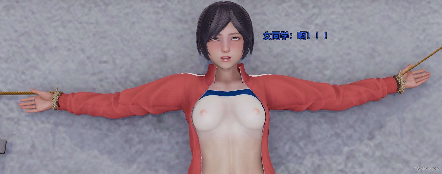 113.jpg