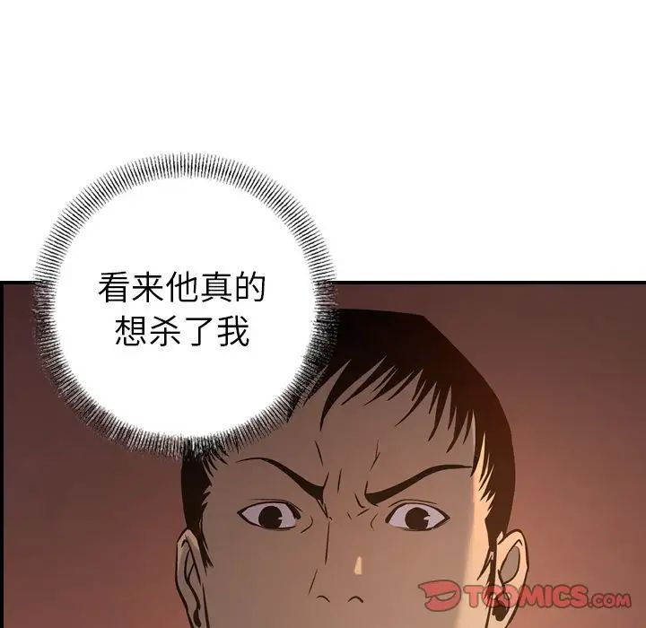 51.jpg