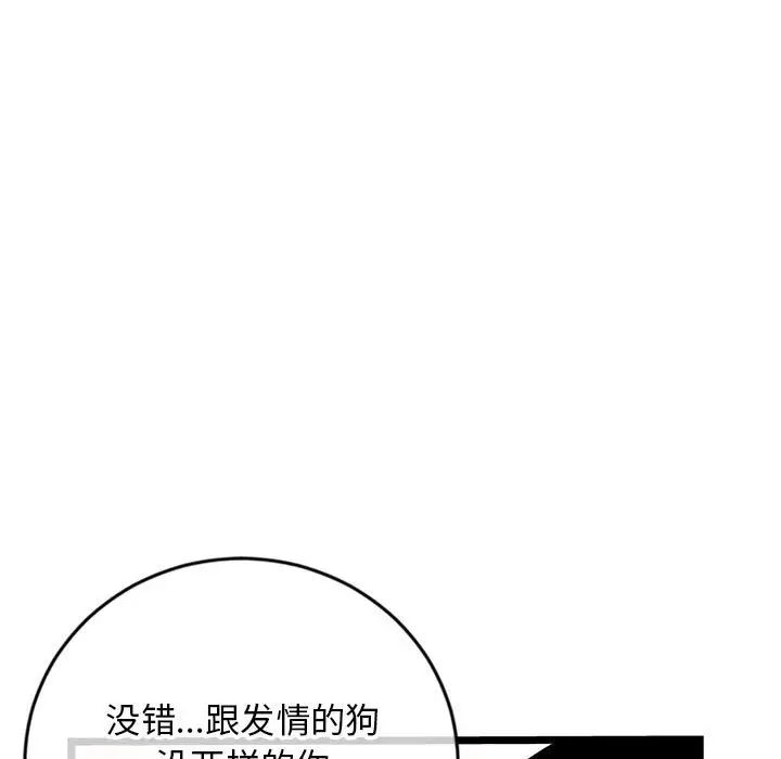 95.jpg