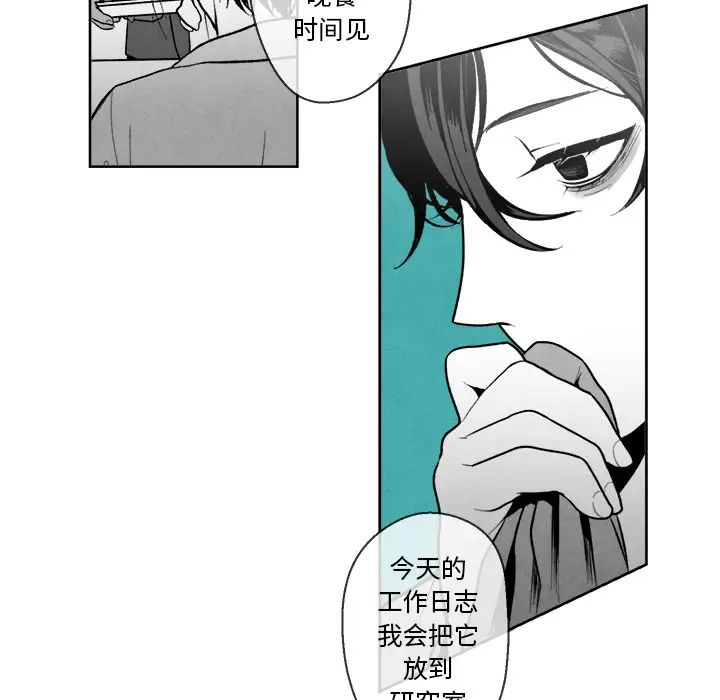 96.jpg