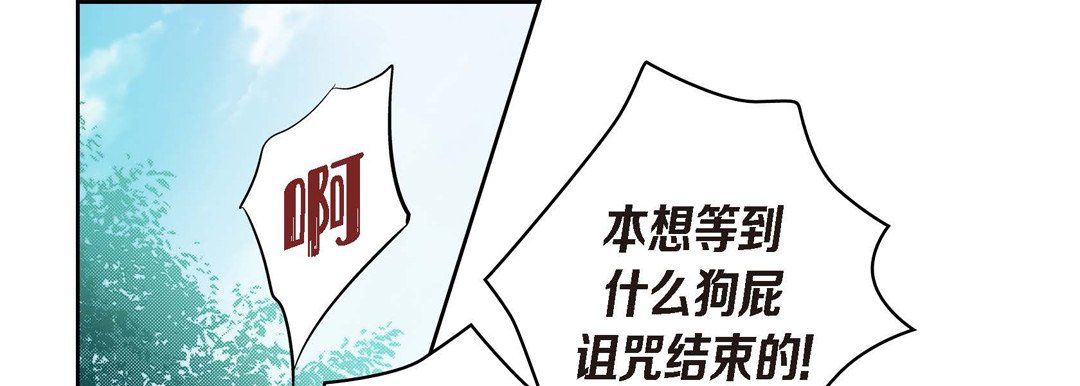 169.jpg