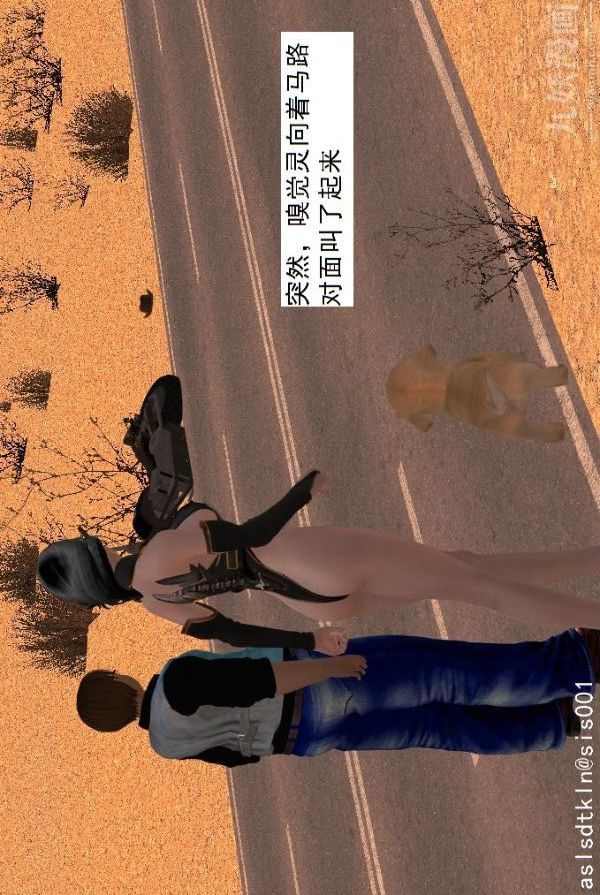 49.jpg