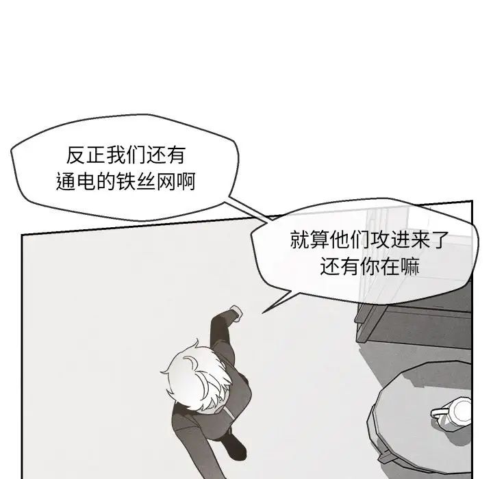 41.jpg
