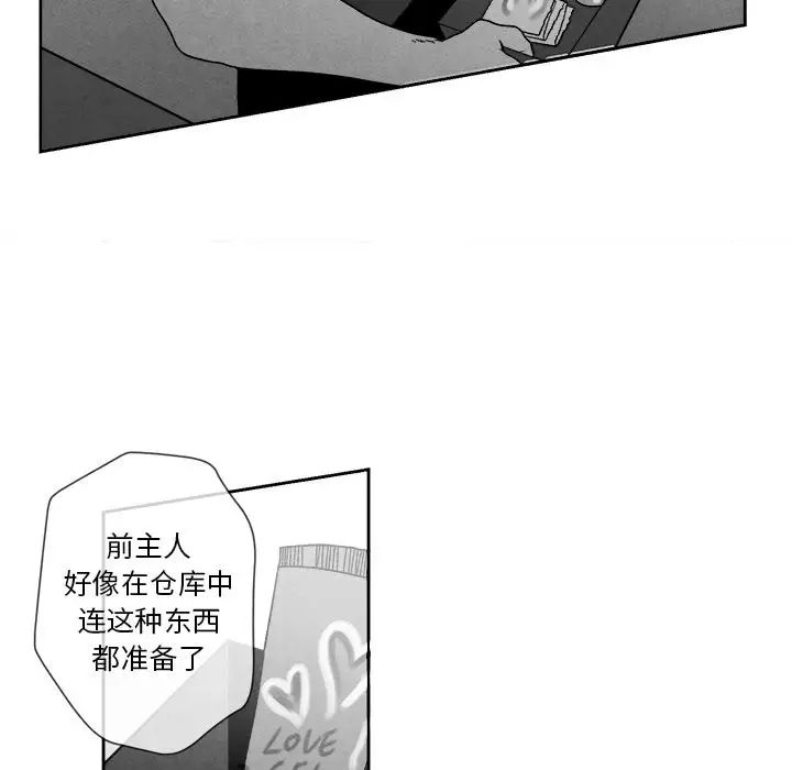 44.jpg