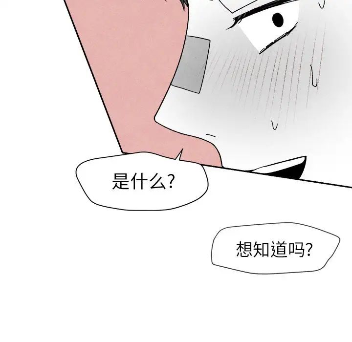 88.jpg