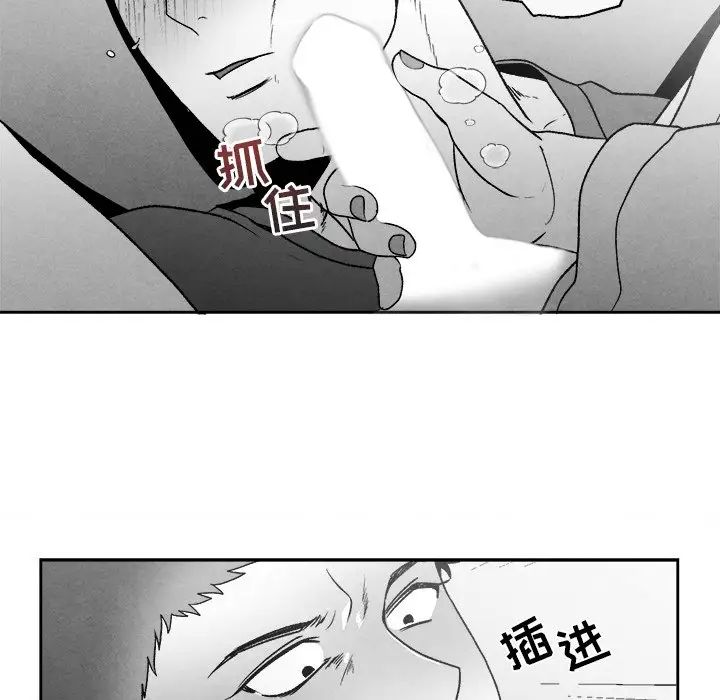 48.jpg