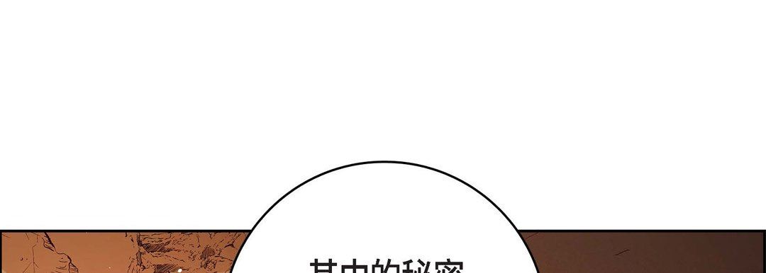 113.jpg