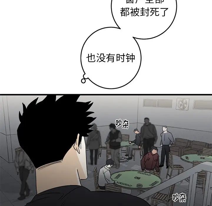 13.jpg