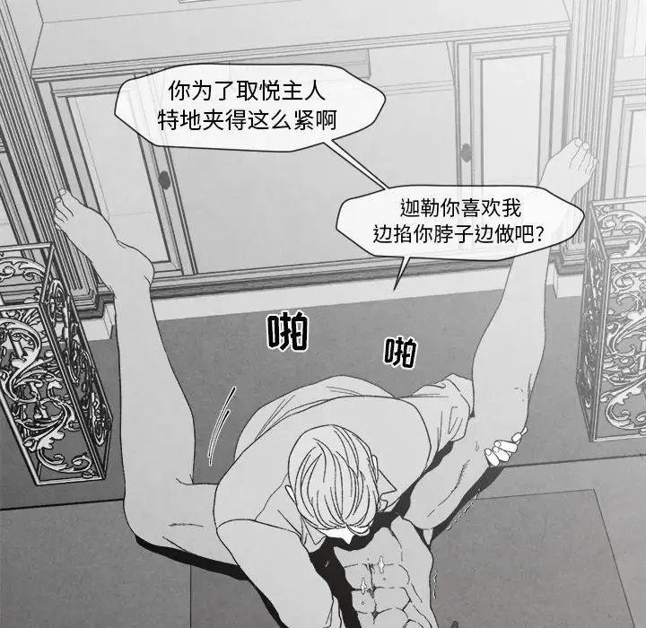 95.jpg