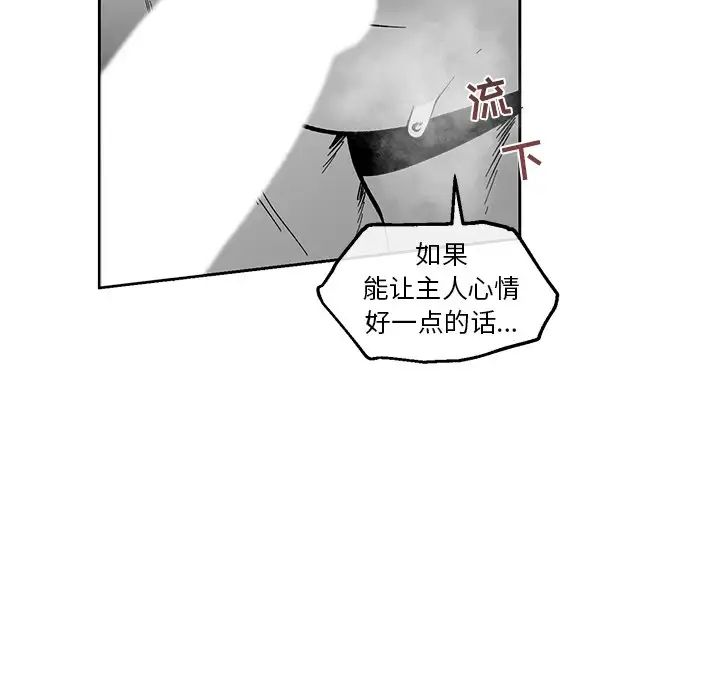 85.jpg
