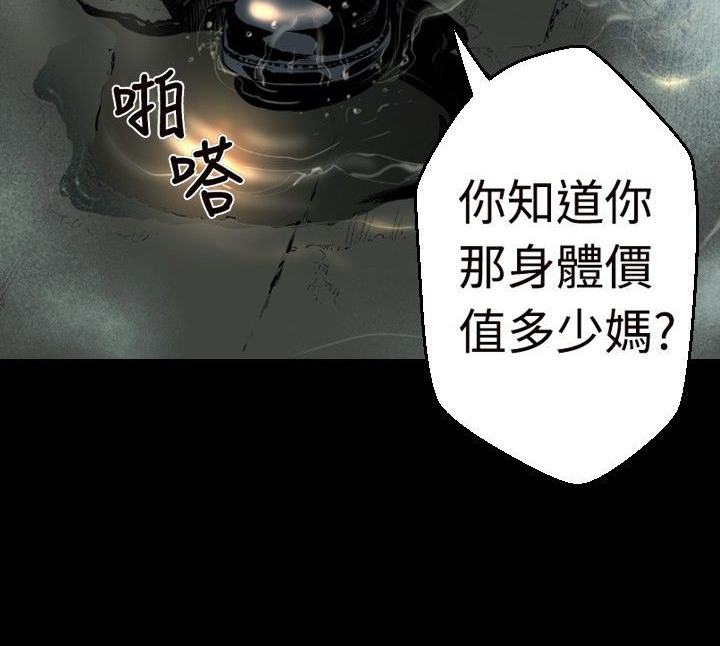 233.jpg