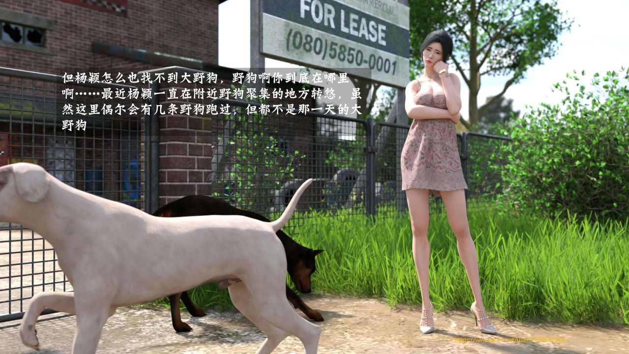 17.jpg