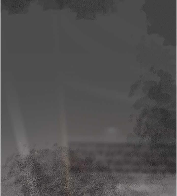 196.jpg