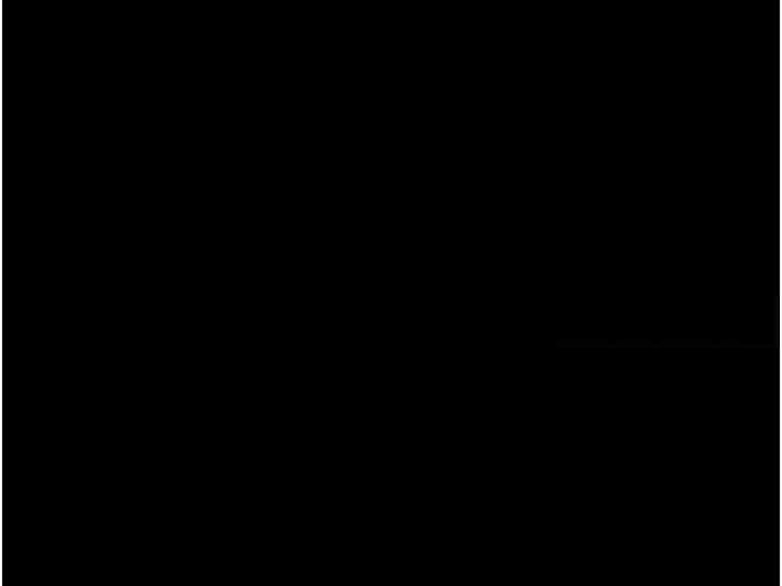 183.jpg