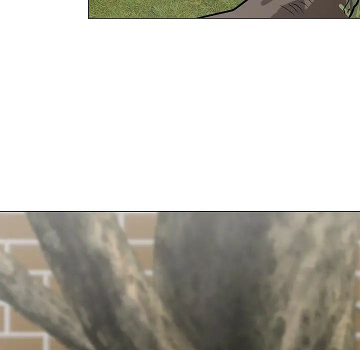 71.jpg