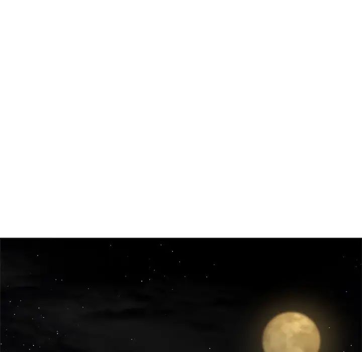 95.jpg