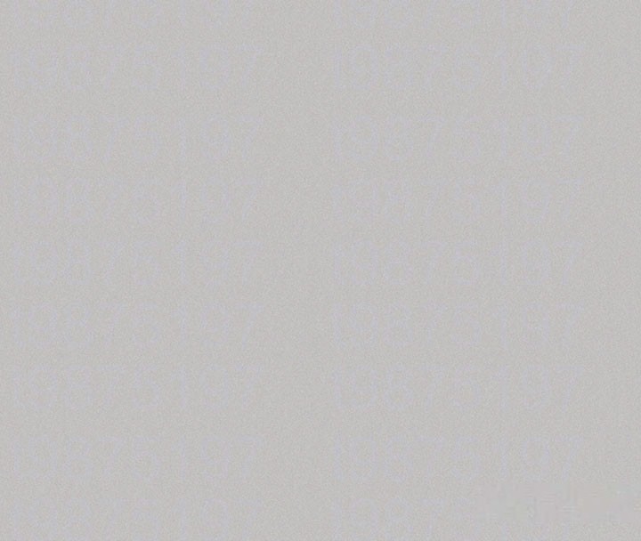 148.jpg