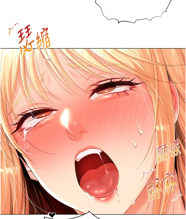 232.jpg