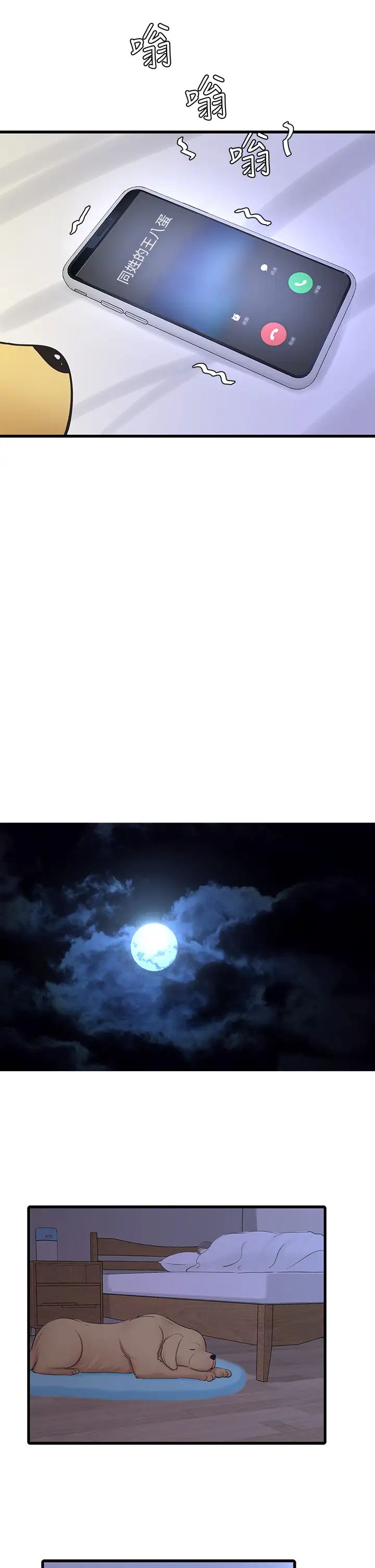 51.jpg