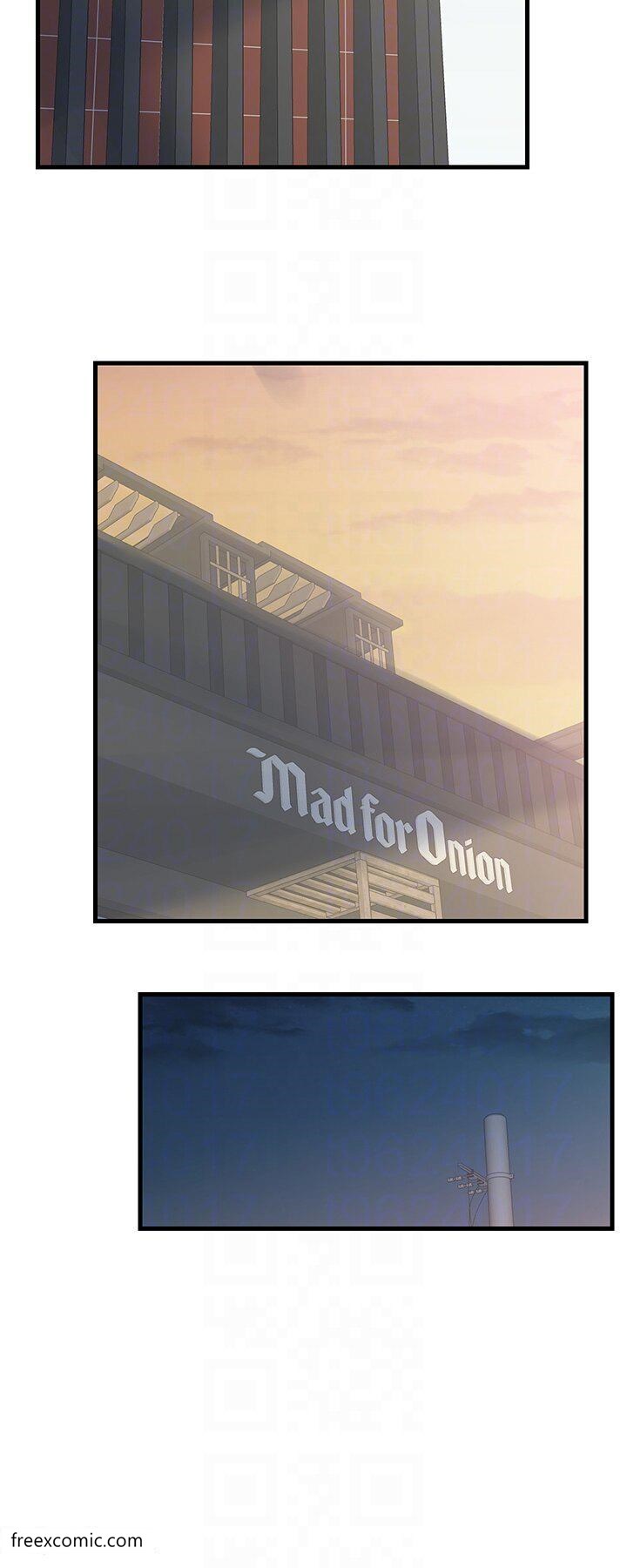 66.jpg