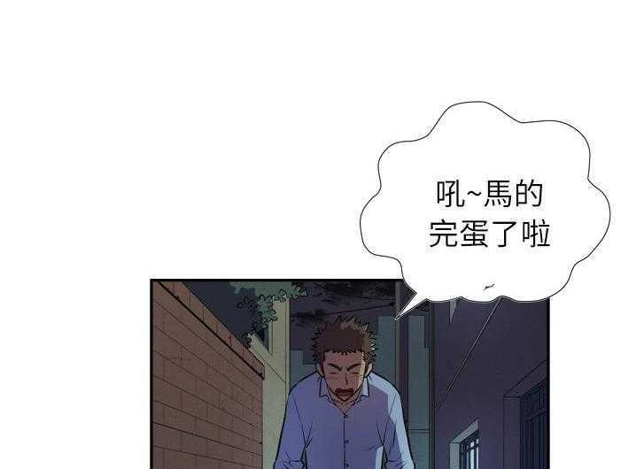 337.jpg