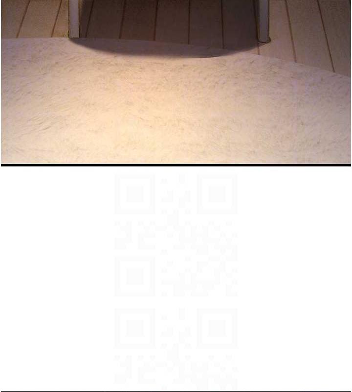 123.jpg
