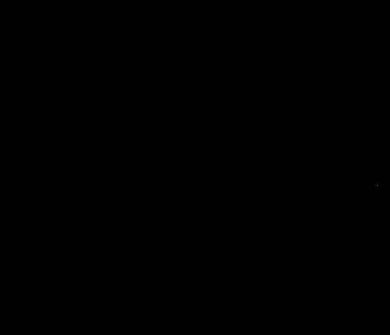 242.jpg