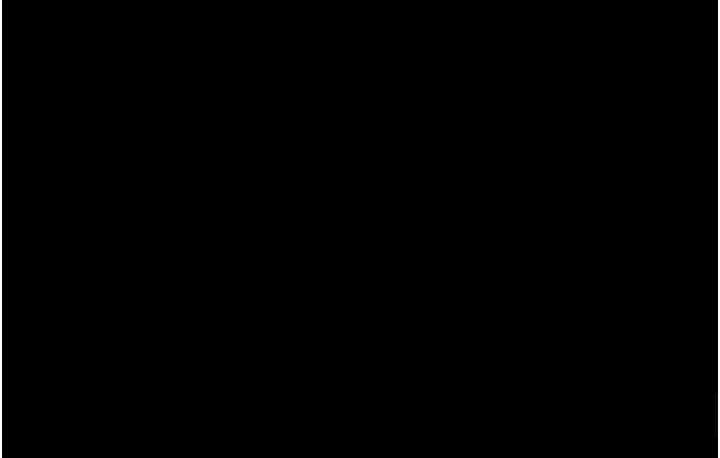 117.jpg
