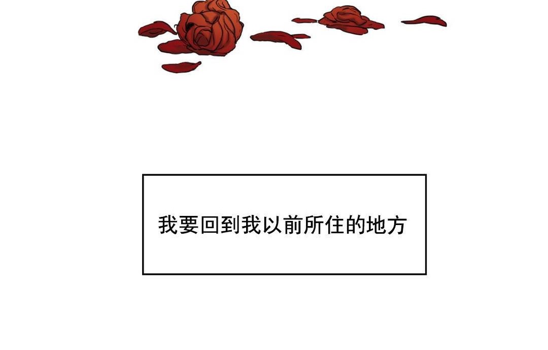 133.jpg