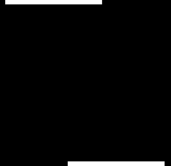 161.jpg
