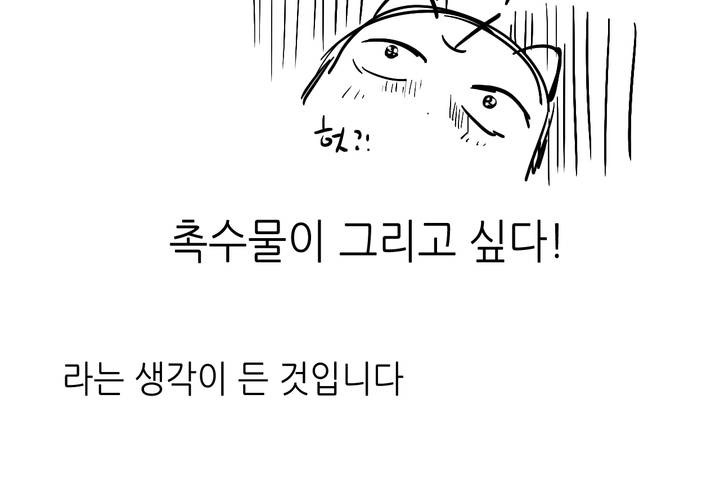 212.jpg