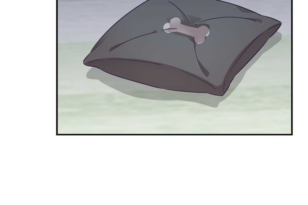 146.jpg