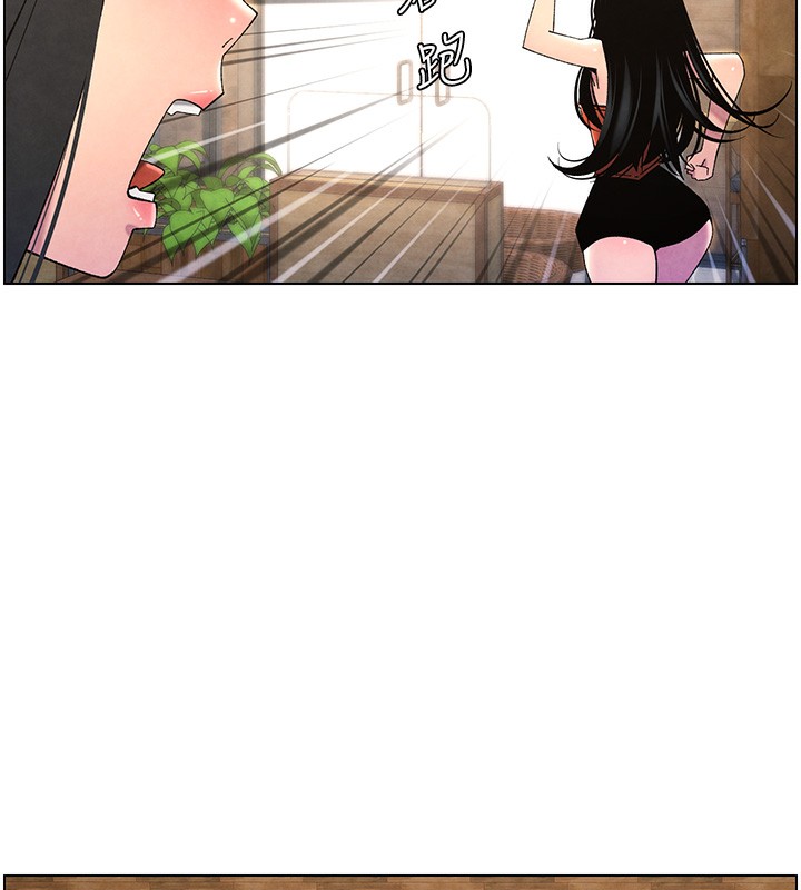 221.jpg