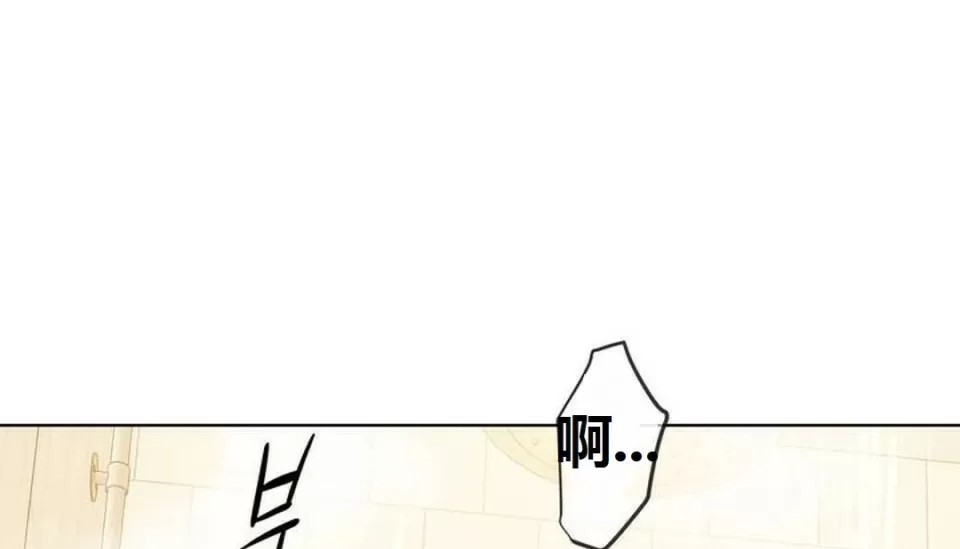 351.jpg