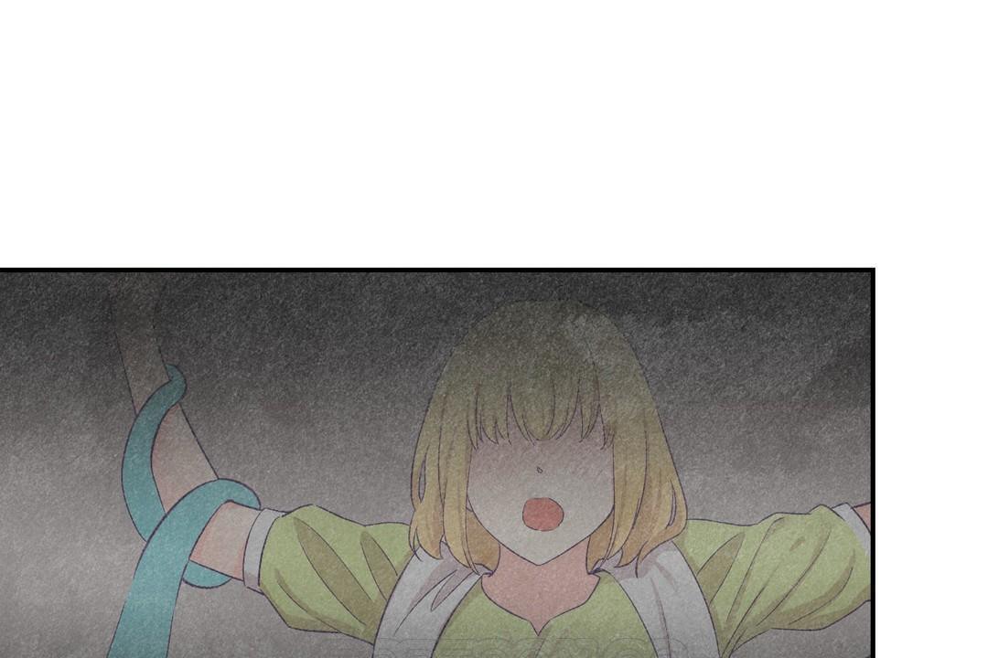 141.jpg