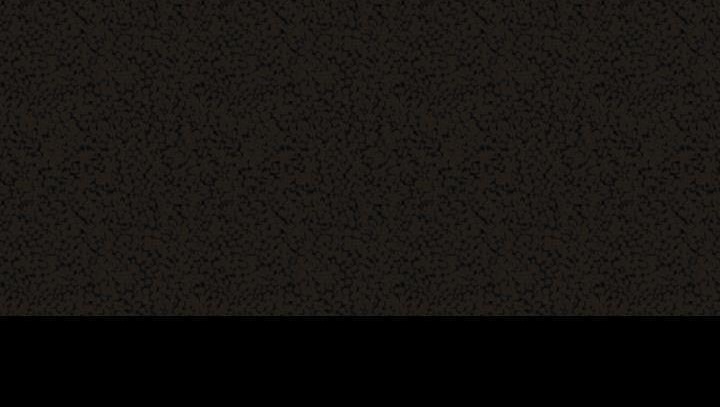 259.jpg