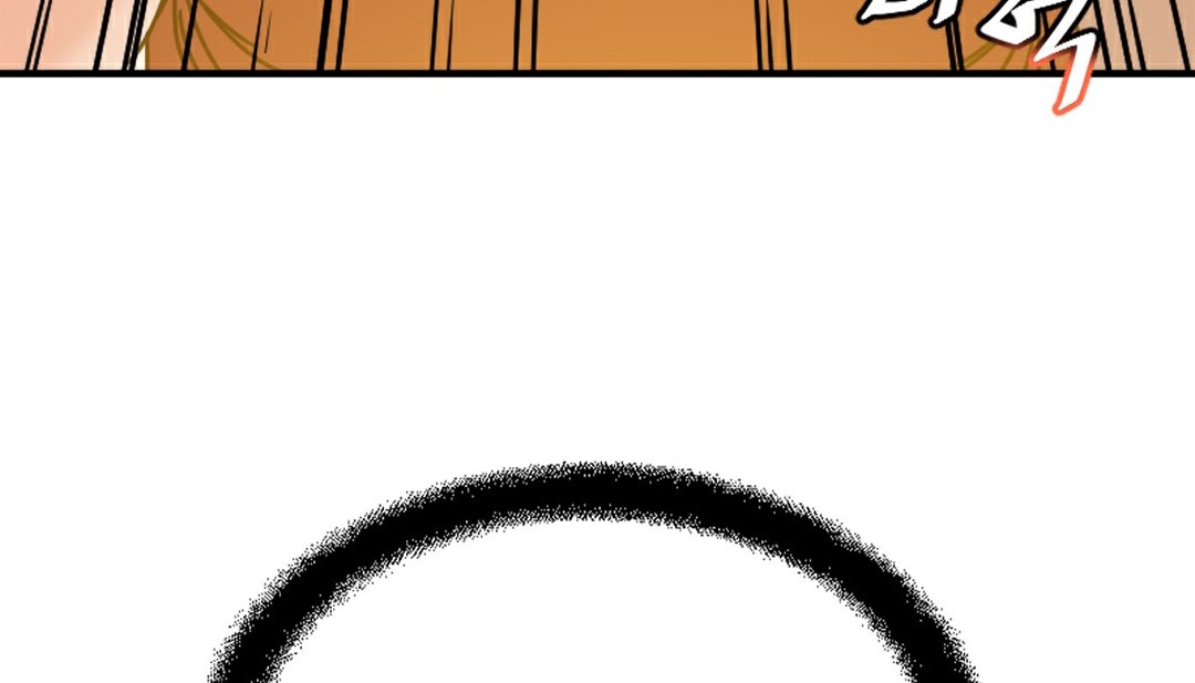 323.jpg