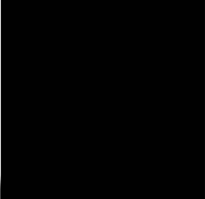 94.jpg
